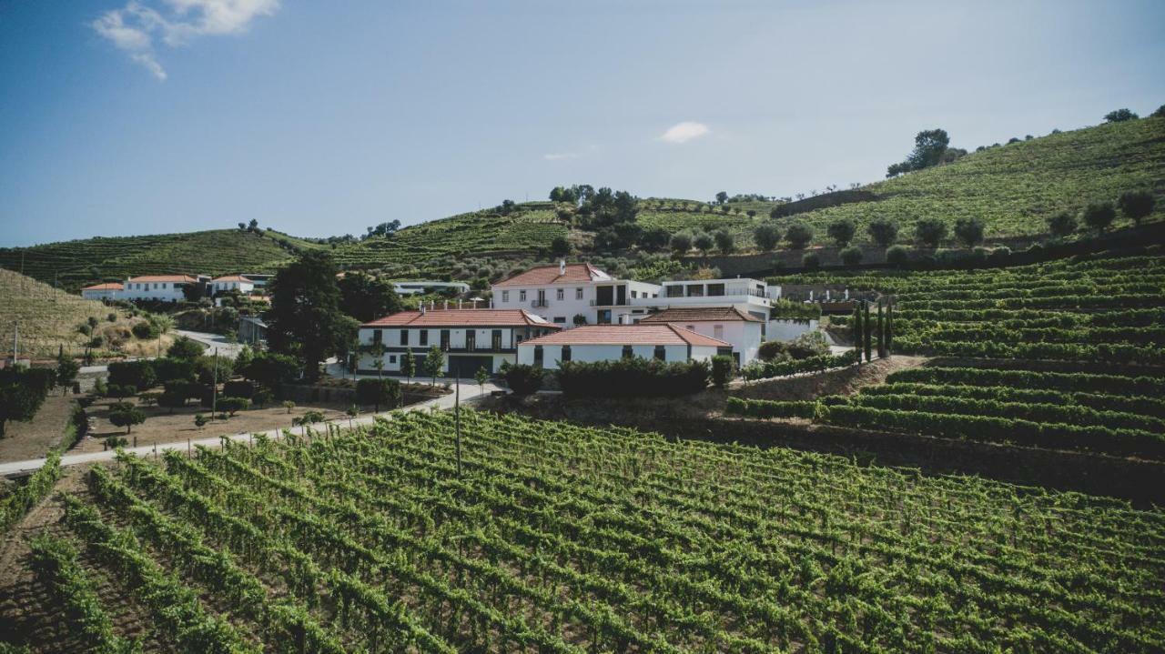 Casal Dos Capelinhos - Douro Hotell Santa Marta de Penaguião Eksteriør bilde